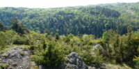 Gorges et plateau de la monne (2)