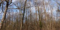 Forêt Chadieu