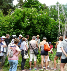 Formation Ambassadeur du Jardin